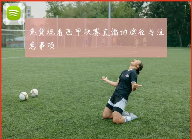 免费观看西甲联赛直播的途径与注意事项