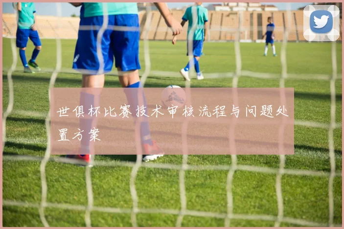 世俱杯比赛技术审核流程与问题处置方案