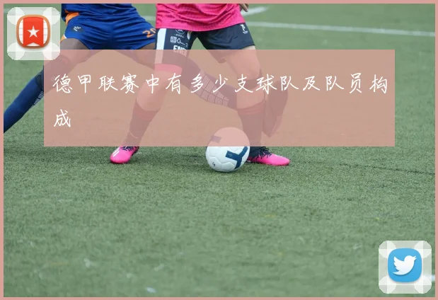 德甲联赛中有多少支球队及队员构成