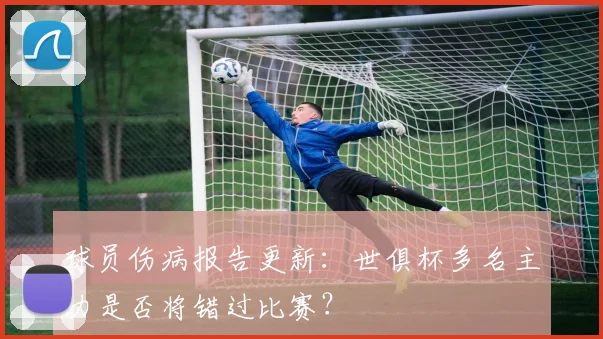 球员伤病报告更新：世俱杯多名主力是否将错过比赛？