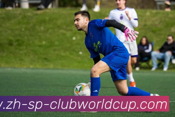 世界杯官网发展历程